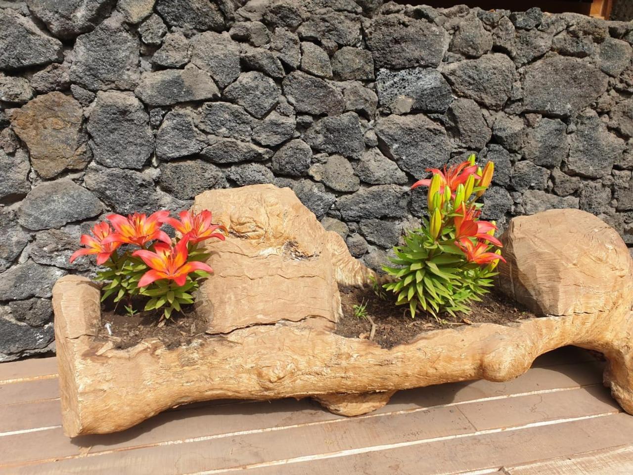 Hotel & Hostal Chil'In, Las Trancas Bagian luar foto